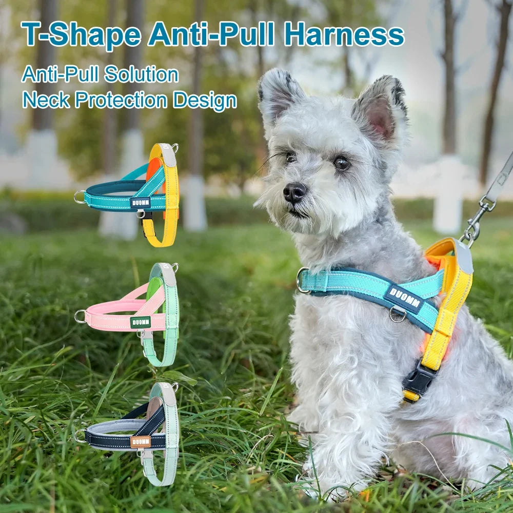 Saddle-Style Dog Harness with Handle - MyPetDollar.com