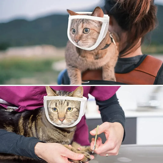 Breathable Clear Cat Muzzle Anti-Bite - MyPetDollar.com