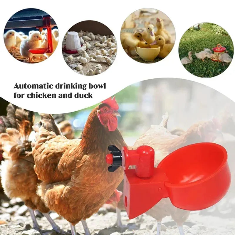 5-50Pcs Chicken Duck Drinking Cup Automatic - MyPetDollar.com