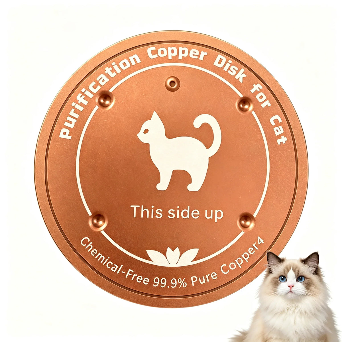 10cm Bird Bath Copper Disk Purification Tray Metal Cleaner – 6 Colors