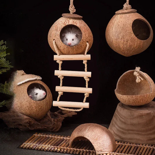 Natural Coconut Shell Hamster Nest Small - MyPetDollar.com