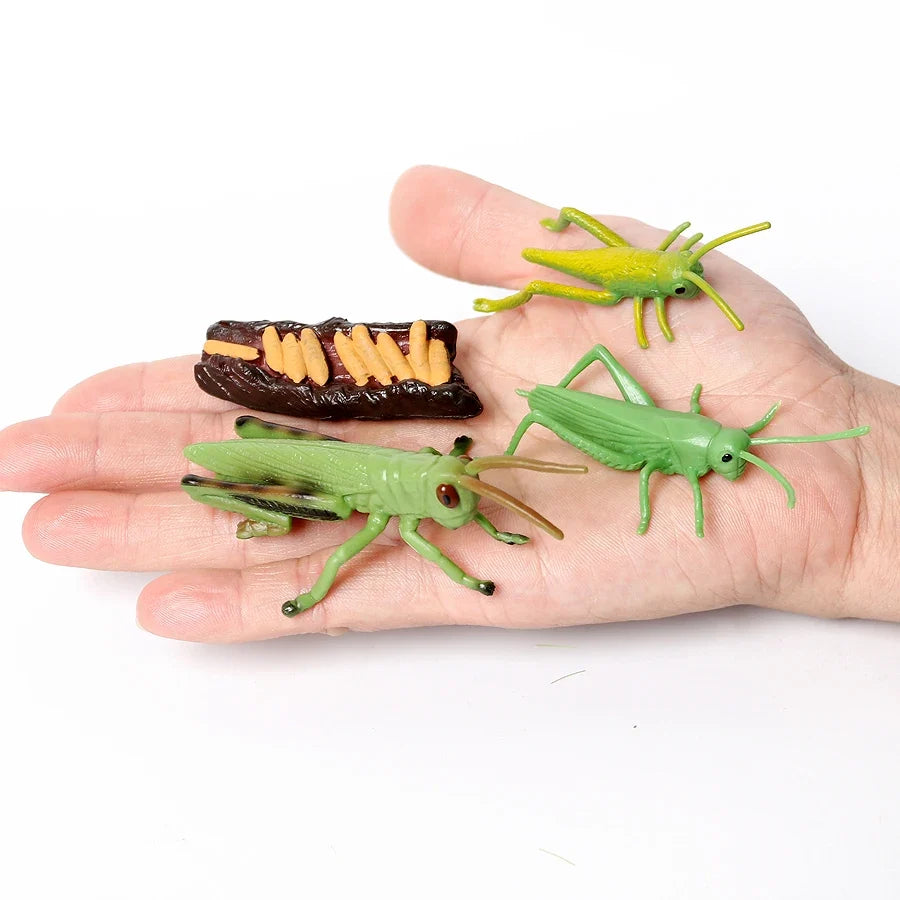 Realistic Insect Grasshopper Mosquito Cicad - MyPetDollar.com
