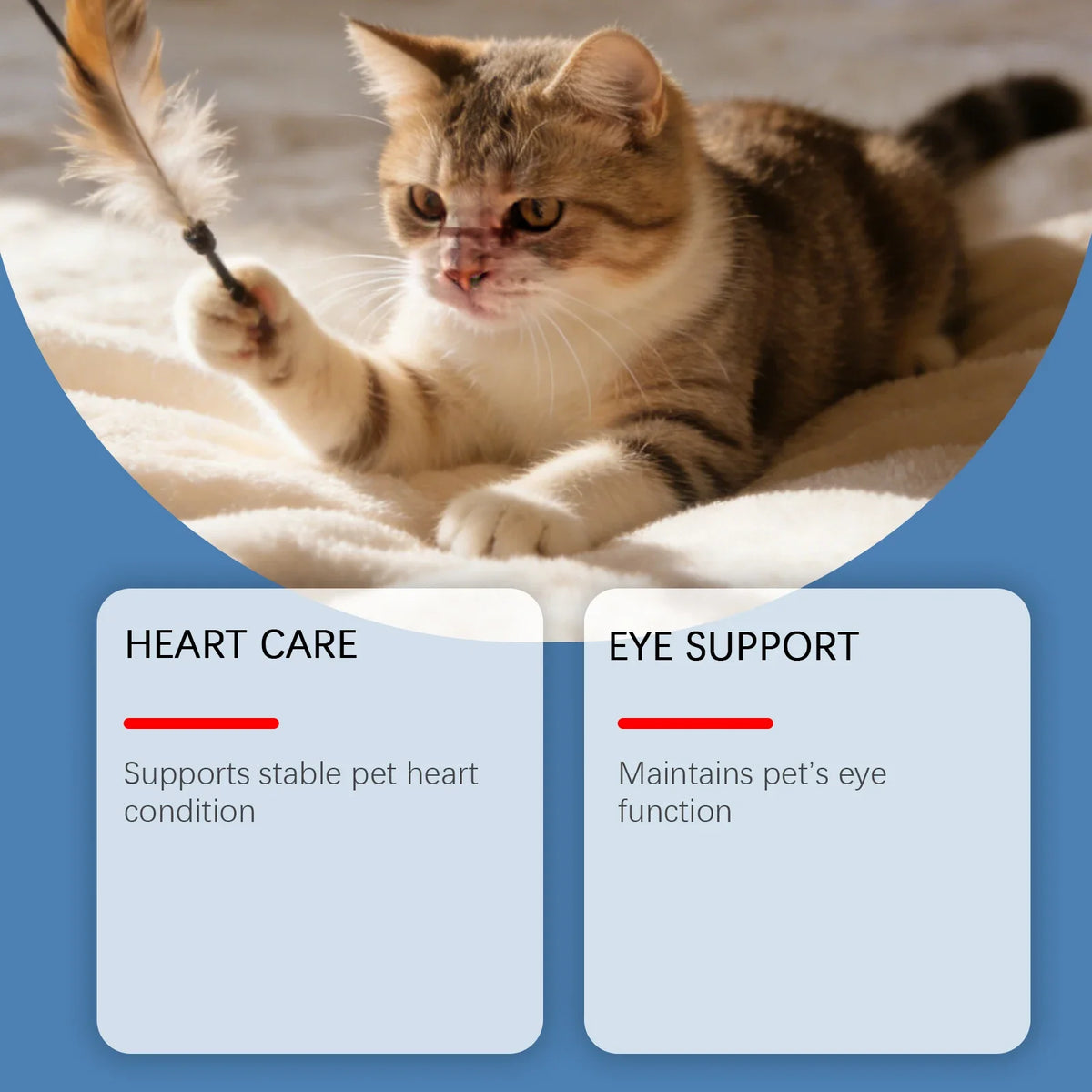 Cat Taurine Powder - Gentle, Comfortable, - MyPetDollar.com