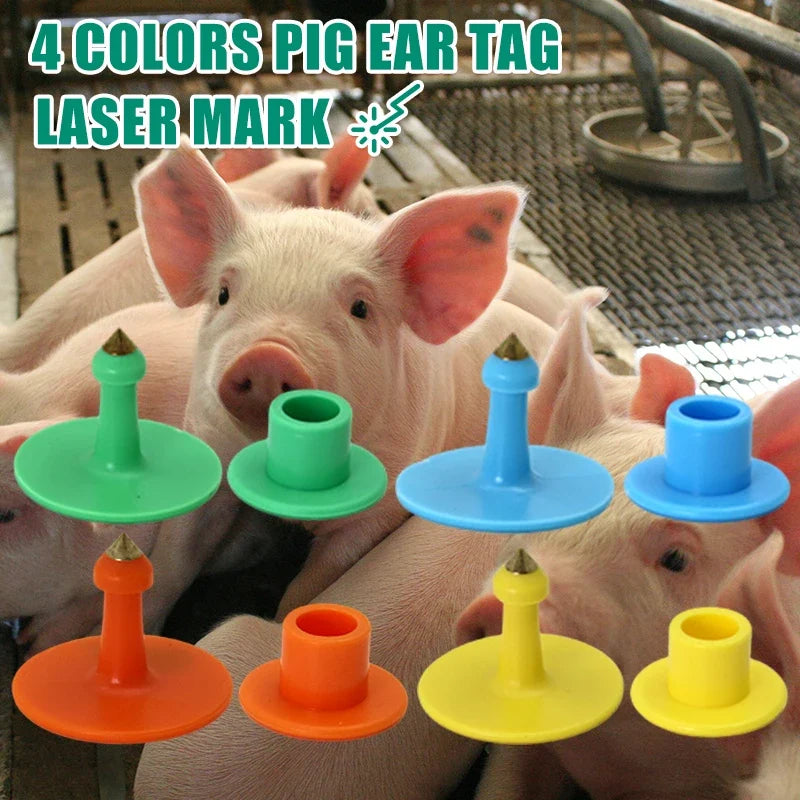 Defense Shedding Pig Ear Tag with Animal - MyPetDollar.com