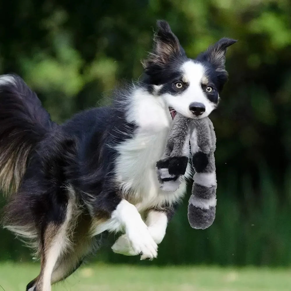 Plush Dog Toys Squirrel Raccoon Fox 18 Inch - MyPetDollar.com