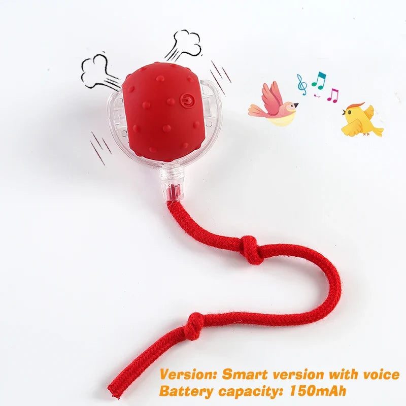 Rechargeable Cat Interactive Ball Toy – 5 Colors