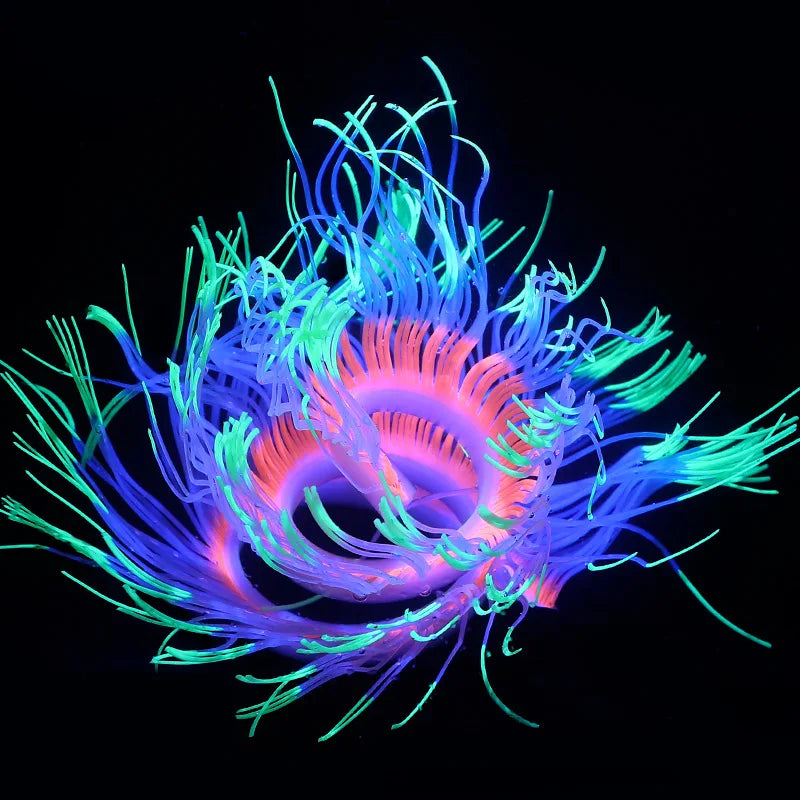 Fluorescent Simulation Silicone Sea Anemone - MyPetDollar.com