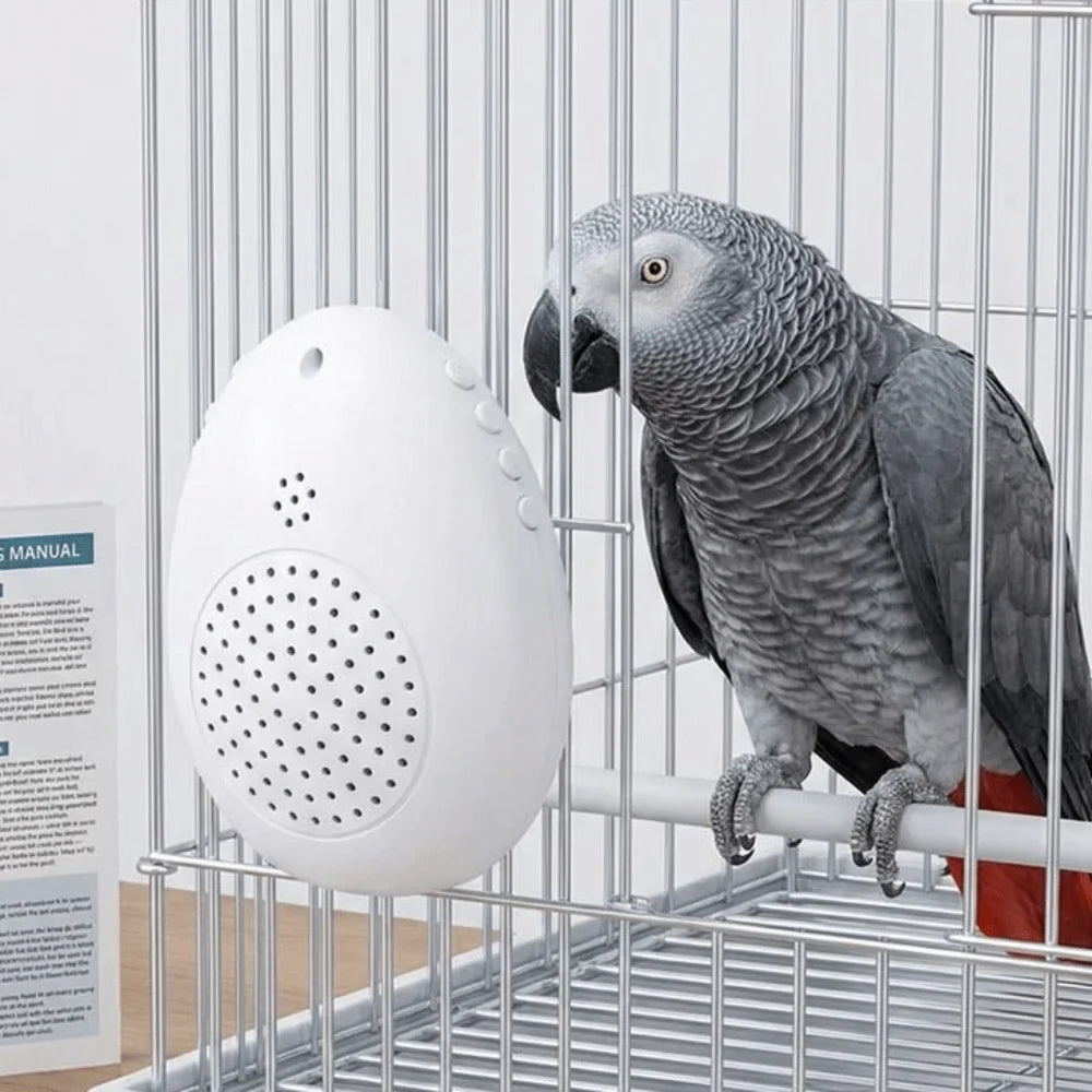 Recording Bird Learning Ma Interactive - MyPetDollar.com