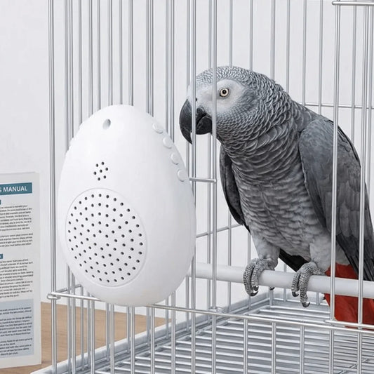 Recording Bird Learning Ma Interactive - MyPetDollar.com