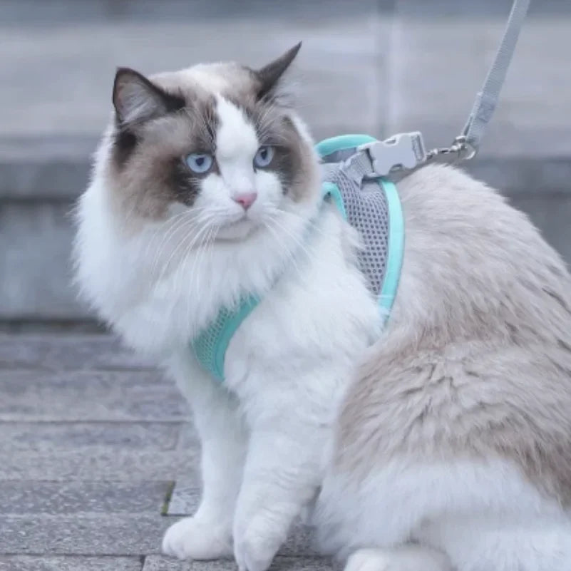Puppy Cat Vest Harness With Leash Breathable - MyPetDollar.com