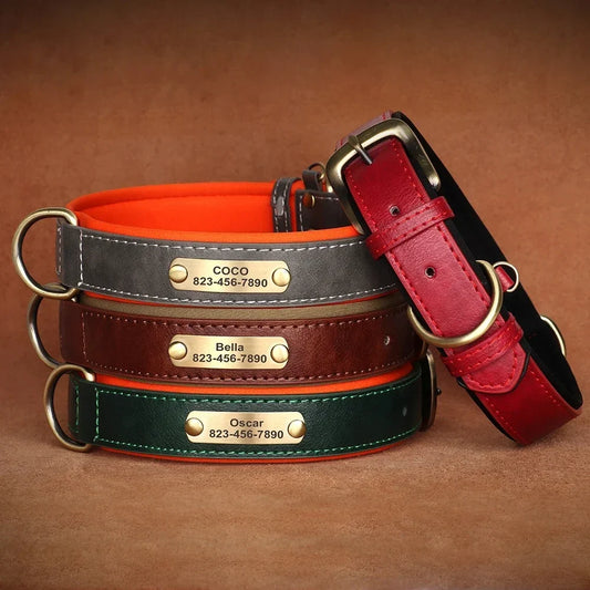 Customized Dog Collar Soft Padded Leather - MyPetDollar.com