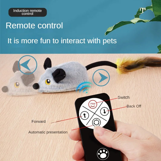 Simulated Little Mouse and Cat Self - MyPetDollar.com