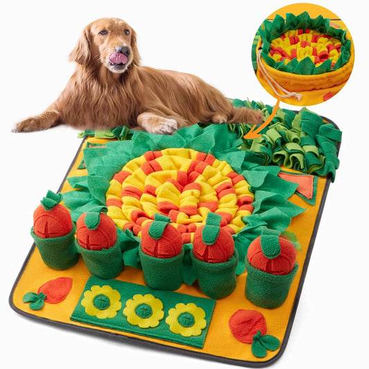 70x50cm Pulling Carrots Style Dog Exercise - MyPetDollar.com