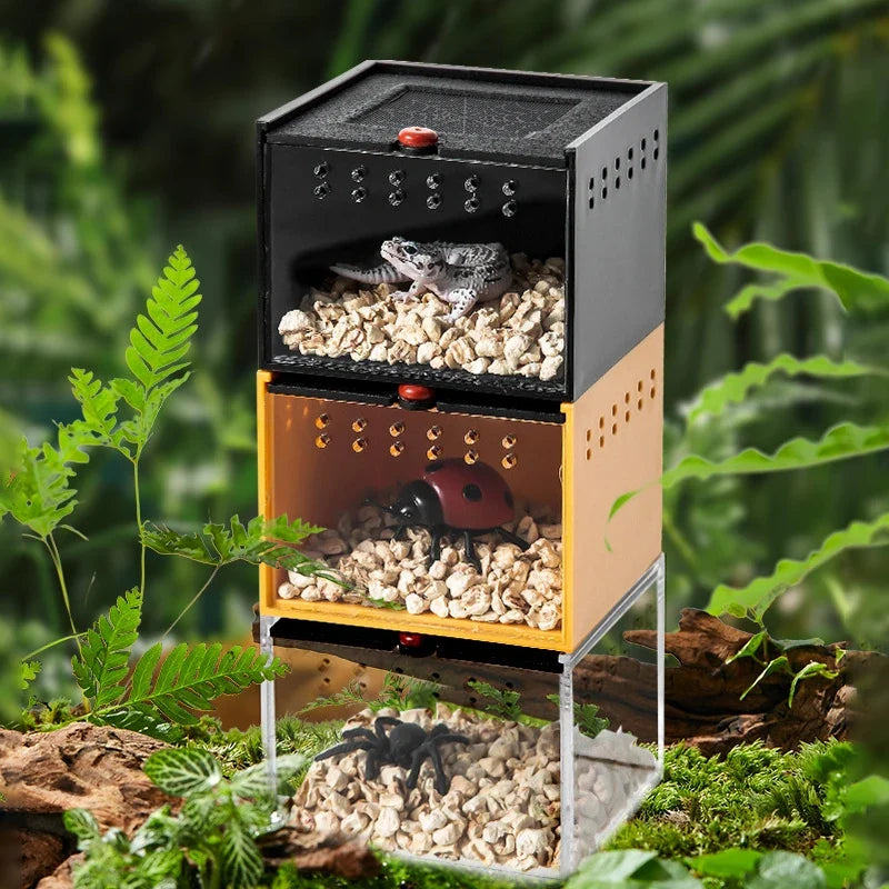 Reptile Crawling Pet Feeding Lizard Pet - MyPetDollar.com
