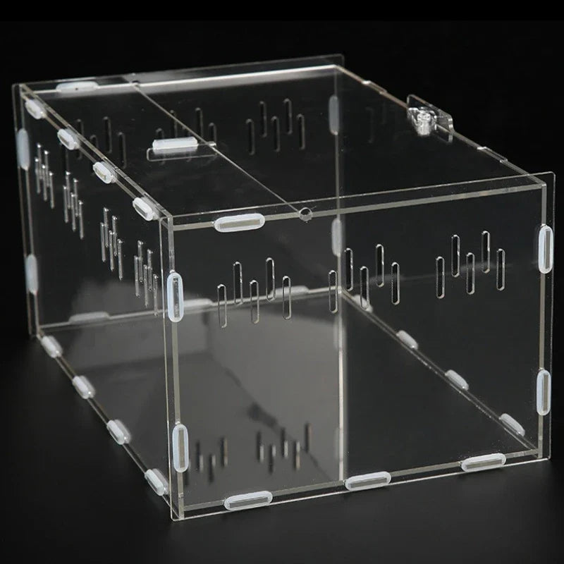 Acrylic Feeding Box Square Transparent - MyPetDollar.com