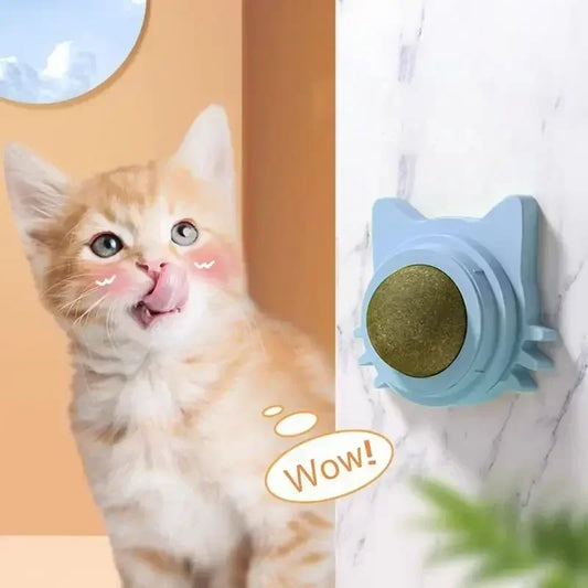 Catnip Balls Funny Lickable Cat Snack Catnip - MyPetDollar.com