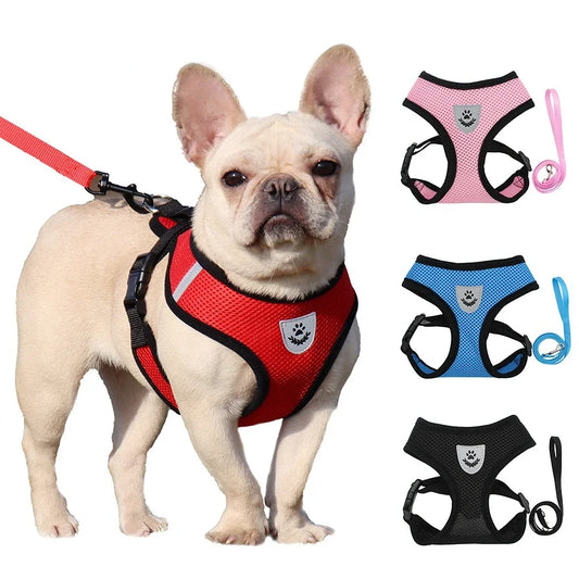Summer Cat Dog Harness Lead Leash Adjustable - MyPetDollar.com