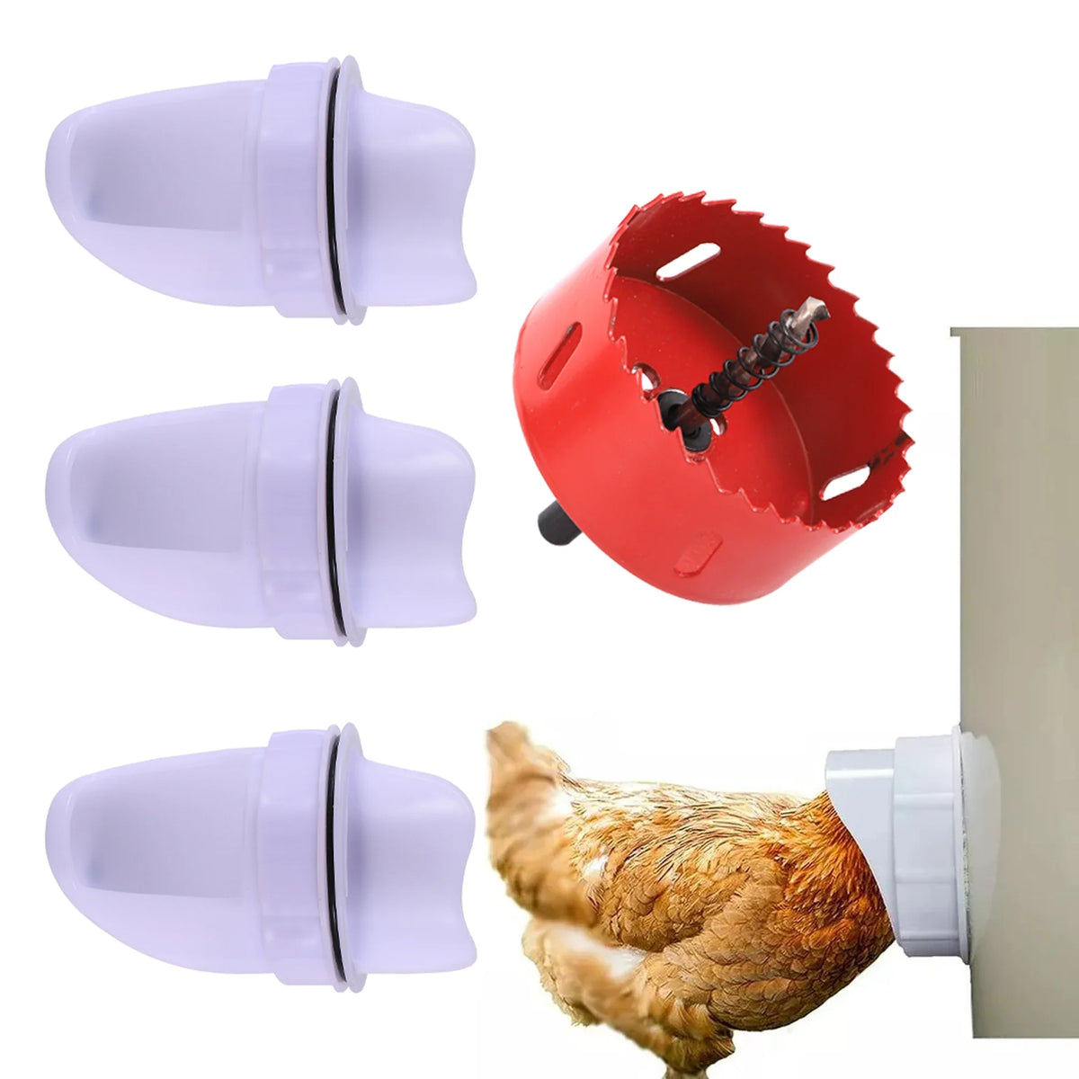Chicken Feeder Poultry Feeding Supplies DIY - MyPetDollar.com