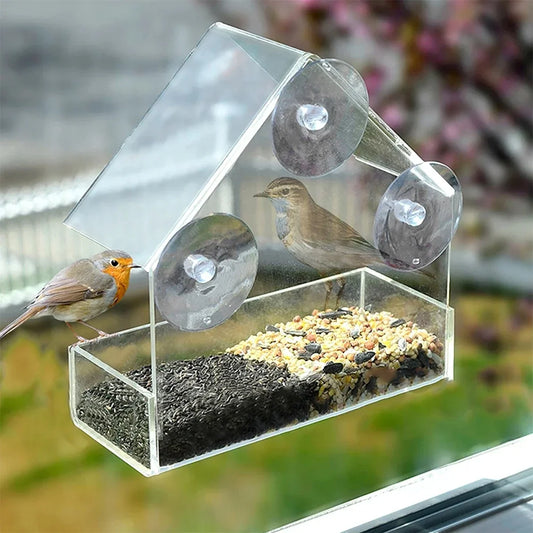 House Transparent Window Wild Bird Feeder - MyPetDollar.com