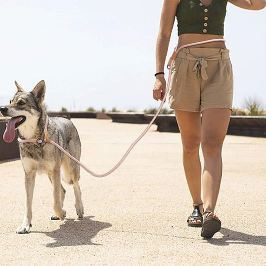 Multi-functional Adjustable P-Shape Dog - MyPetDollar.com