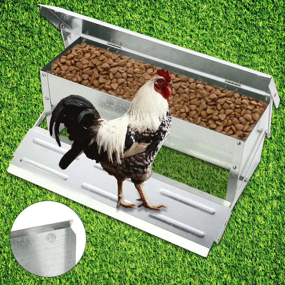 Automatic Chicken Feeder for Chickens Ducks - MyPetDollar.com