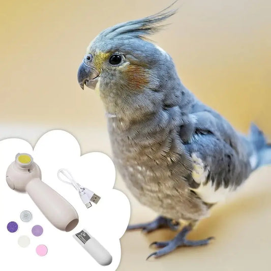 Parrot Nail Trimmer Electric Noiseless Beak - MyPetDollar.com