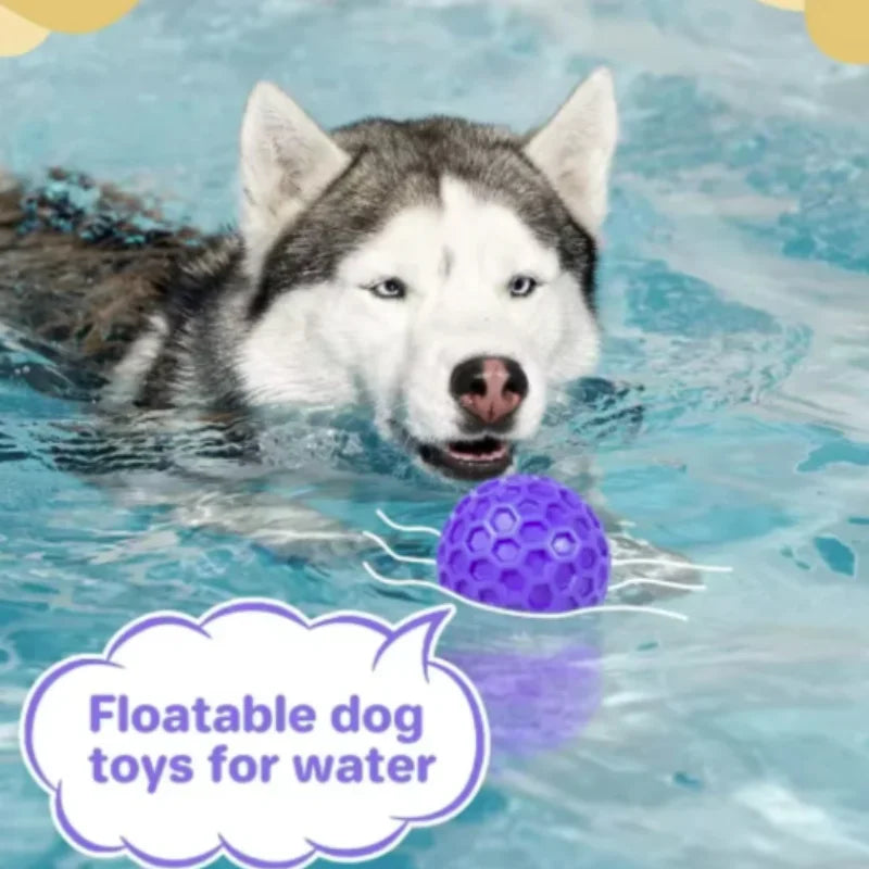 Indestructible Interactive Rubber Ball Dog - MyPetDollar.com