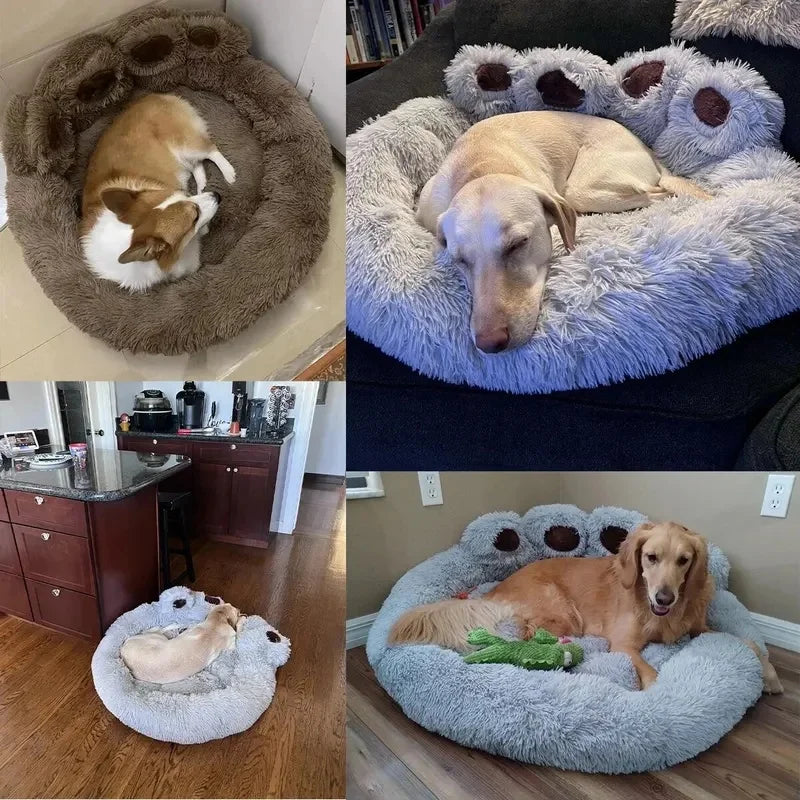 Winter Bear Paw Shape Pet Sofa Bed Soft - MyPetDollar.com