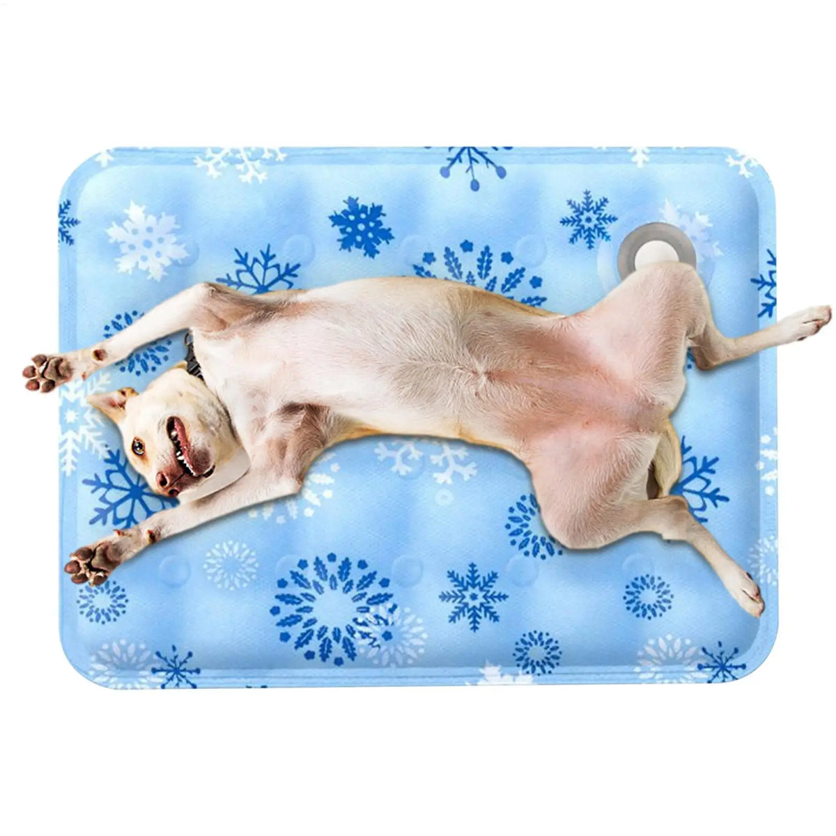 Dog cat Cooling Mat Water-fill Gel Mat - MyPetDollar.com