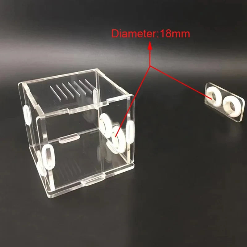 DIY Various Size Ant Farm Bamboo Tube Nest – Coops, Nests & Incubators