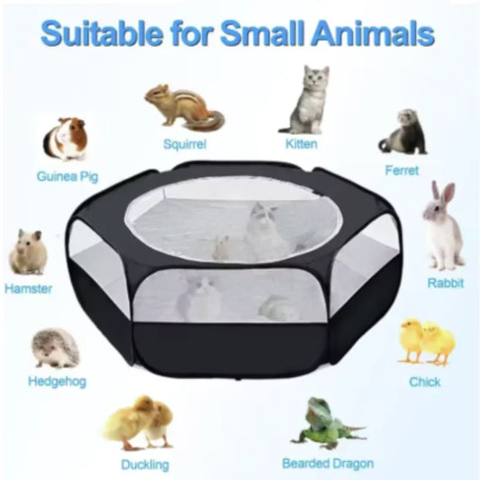 Portable Small Pet Cage Transparent Hedgehog - MyPetDollar.com