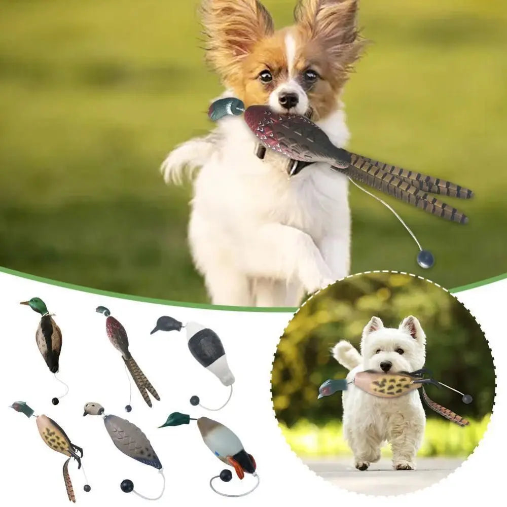 Mallard Duck Decoy Dog Training Toys For - MyPetDollar.com