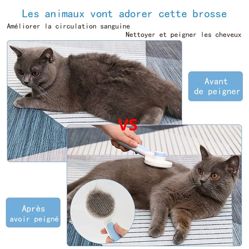 Customizable Pet Cat Brush Dog Comb Hair - MyPetDollar.com