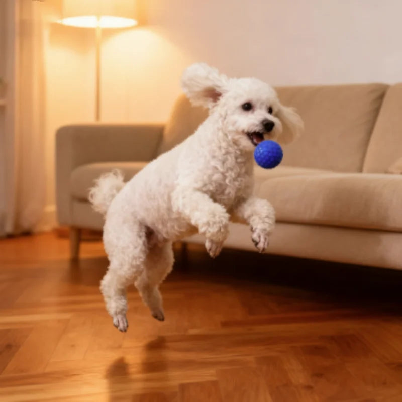 Indestructible Interactive Rubber Ball Dog - MyPetDollar.com