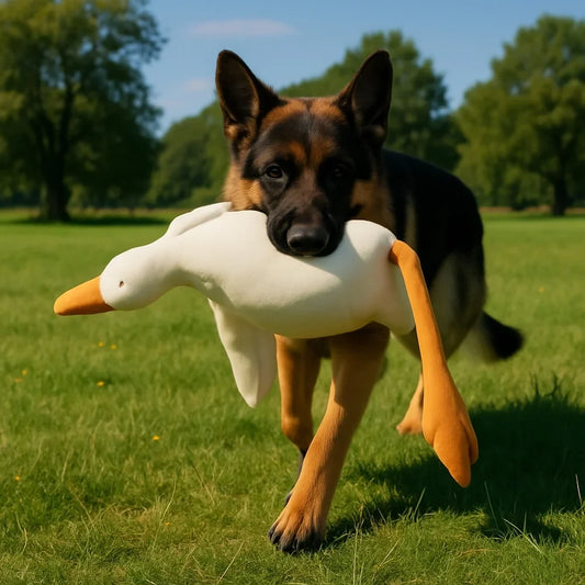 Large Plush White Duck Dog Toys Realistic - MyPetDollar.com