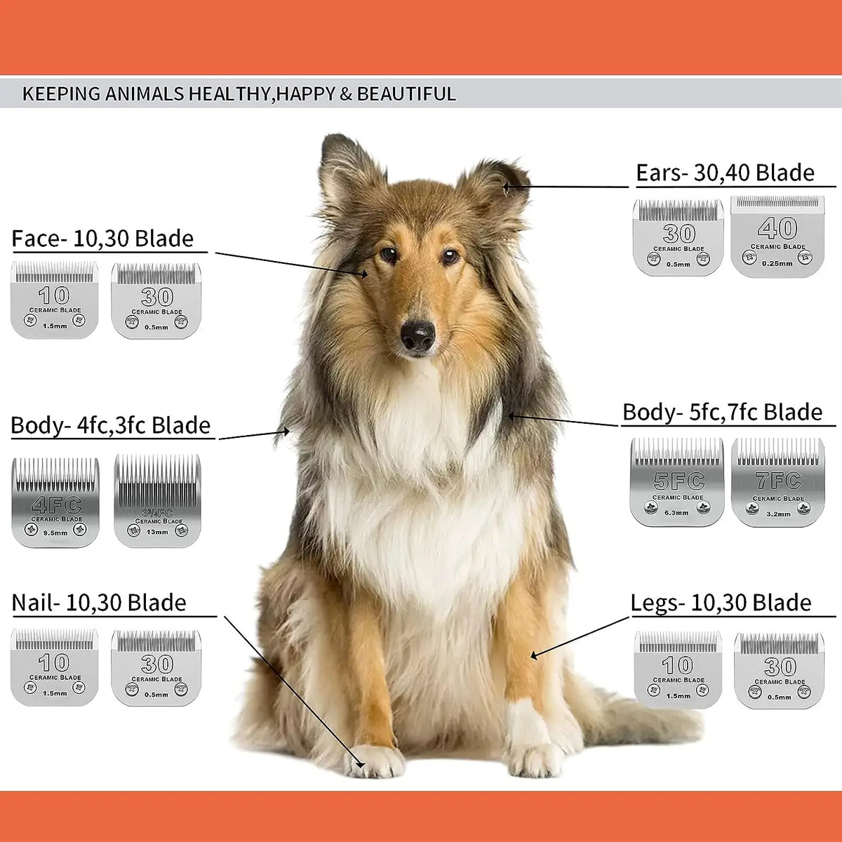 3F 4F 5F 7F 9# 10# 30# 40# 50# Professional - MyPetDollar.com