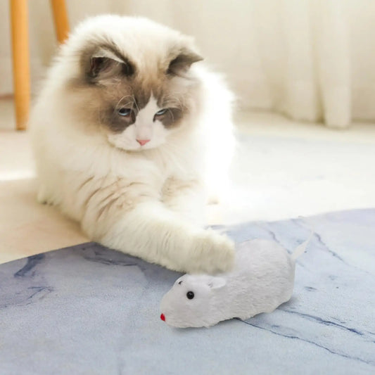 Cat Toys Clockwork Simulation Mouse No - MyPetDollar.com