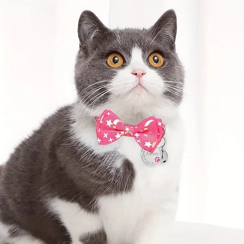 Personalized Cat Collar Pendant ID Engraving - MyPetDollar.com