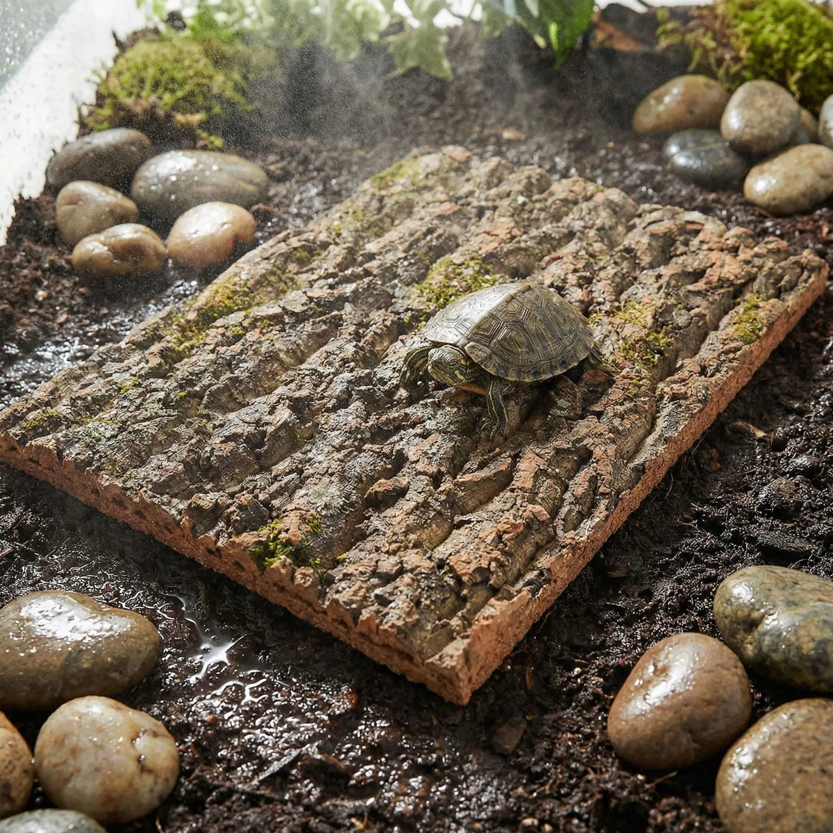 3Pcs Cork Bark Background for Reptiles - MyPetDollar.com