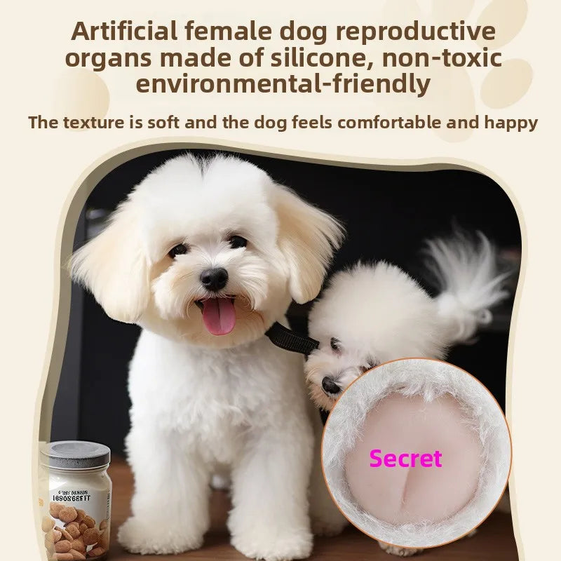 Soft Plush Riding Toy Relieve Small Male Dog - MyPetDollar.com