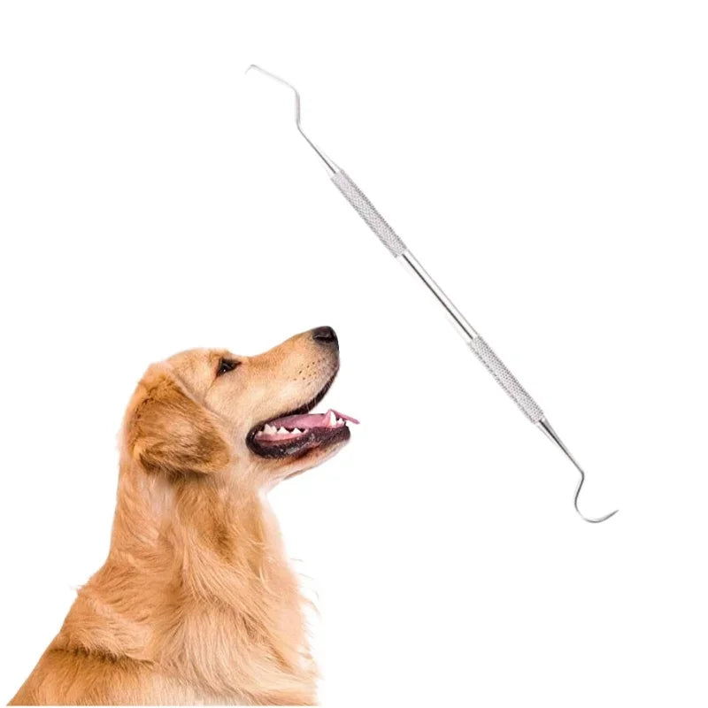 Stainless Steel Pet Tooth Cleaning Tool Safe - MyPetDollar.com