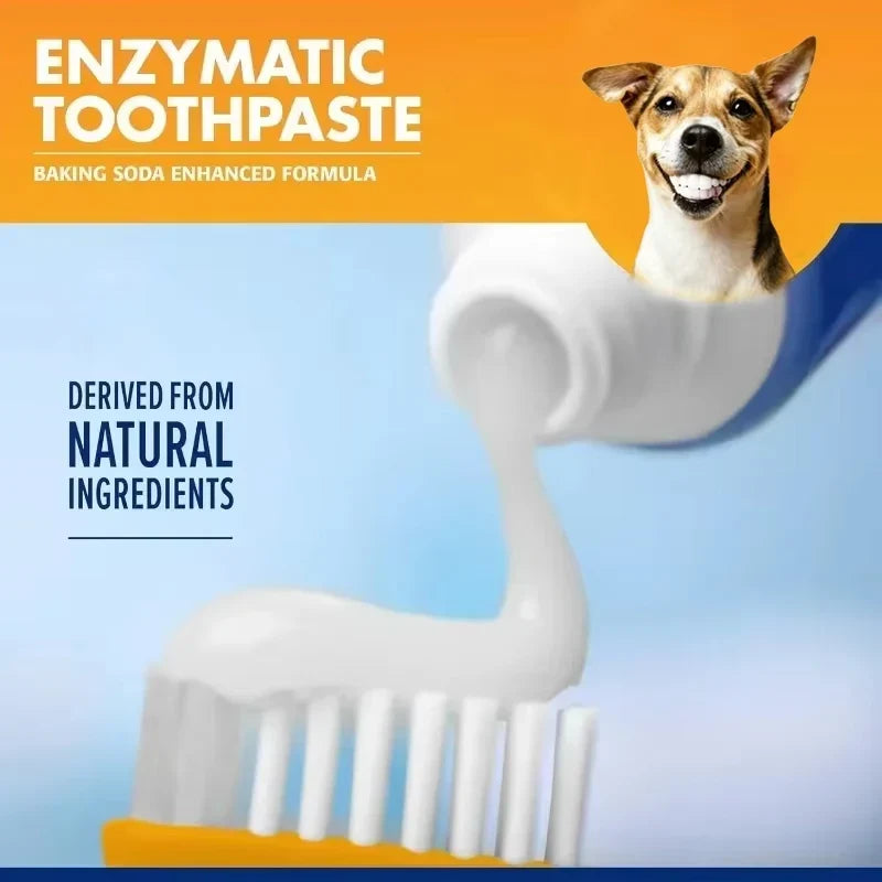 Universal Toothpaste Toothbrush Set Dog Gum - MyPetDollar.com