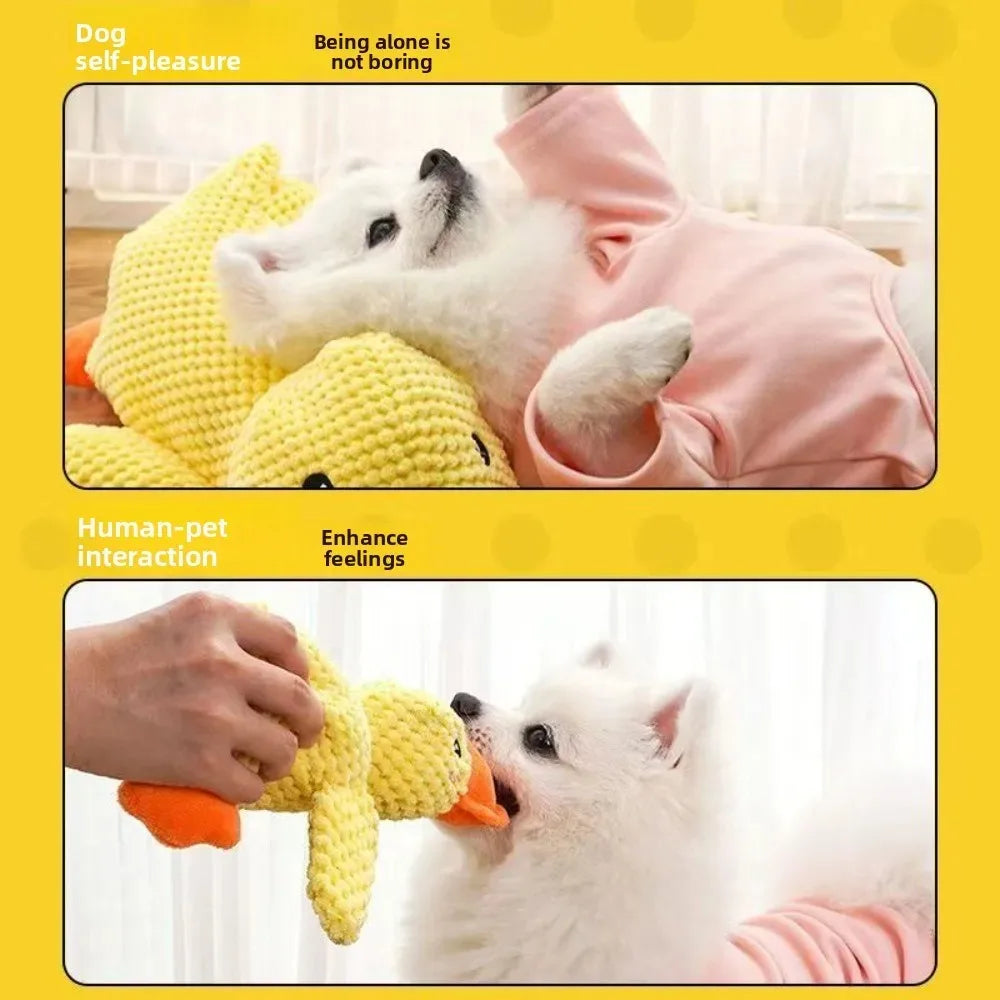 1/3PCS Things For Dogs Accessories Dog - MyPetDollar.com