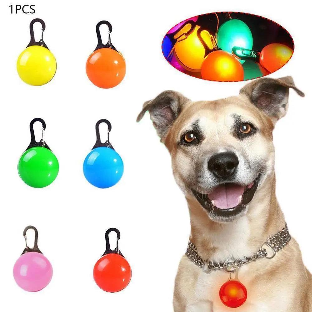 LED Dog Collar Light, Glow in The Dark - MyPetDollar.com