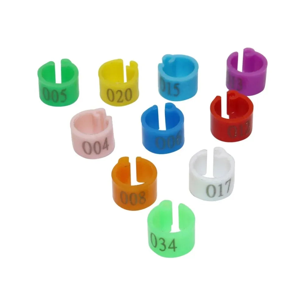 100Pcs Pigeon Anklet Inner Diameter 6mm Bird - MyPetDollar.com