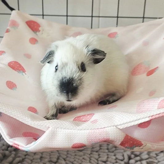Summer Cooling Pet Hammock Comfortable - MyPetDollar.com