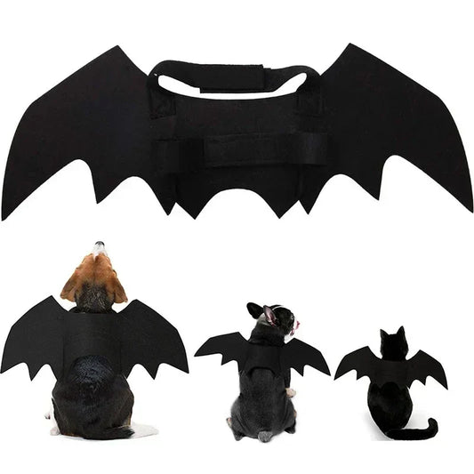 Cute Pet Cat Bat Wings for Halloween Party - MyPetDollar.com