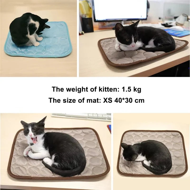 Pet Cooling Mat for Dogs Cats Summer - MyPetDollar.com