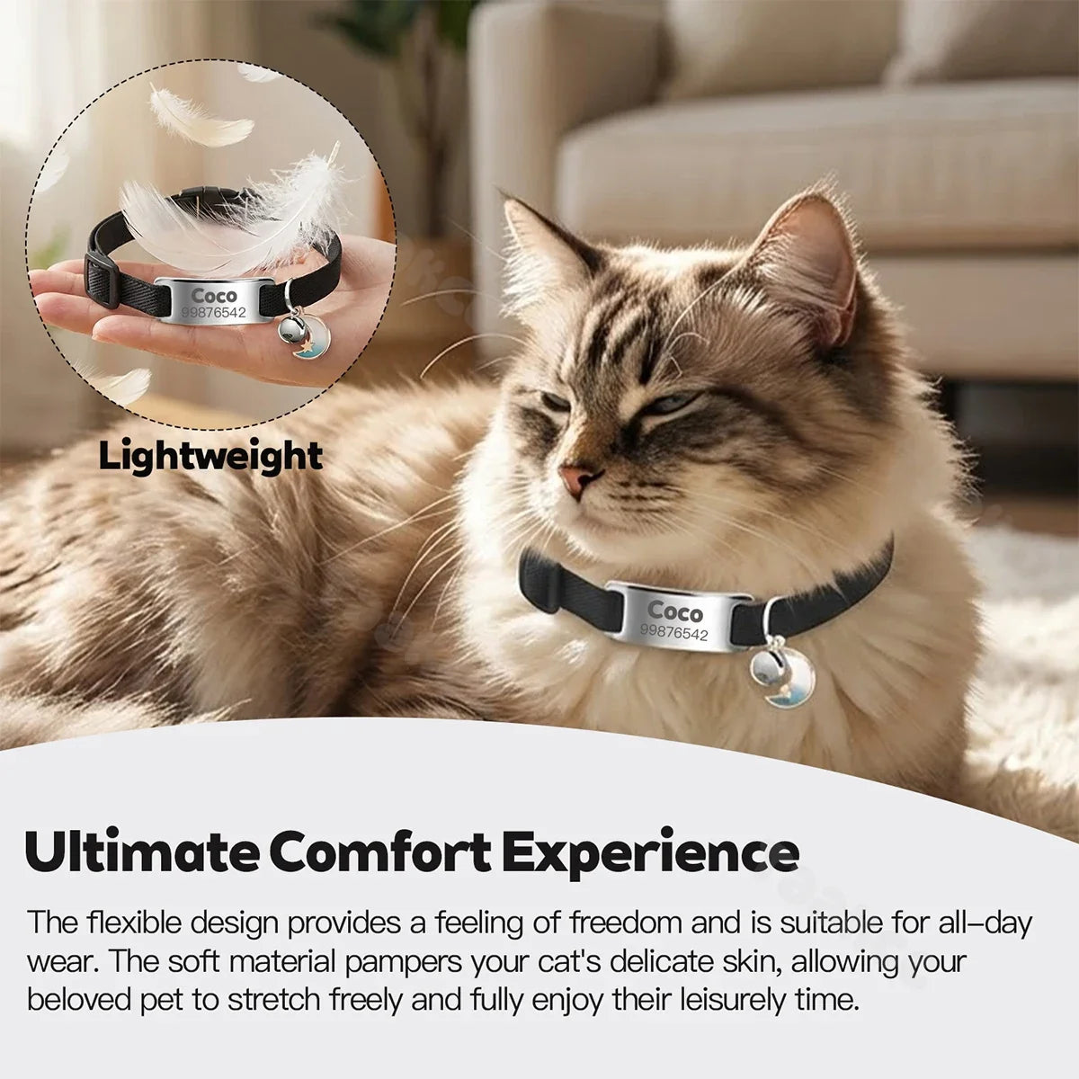 Customized Fashion Elastic Cat Collar Free - MyPetDollar.com