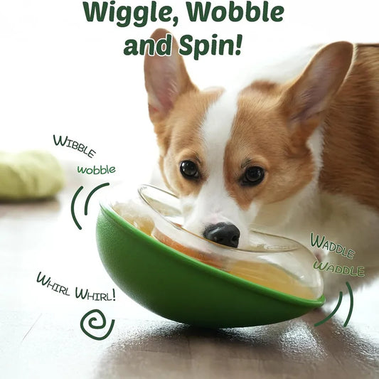Avocado Training Pet Automatic Feeder - MyPetDollar.com